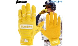 野球 フランクリン バッティンググローブ 手袋 両手用 CFX-PRO HI-LITE 20895 Franklin