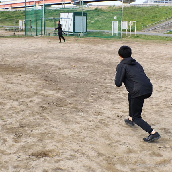 野球 フィールドフォース トレーニング 見えにくいボール ダース FNB-6812JBRN 野球用品 スワロースポーツ