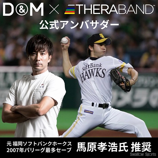 野球 D＆M THERABAND セラバンド ブリスターパック 2m 強度レベル+1 グリーン エクササイズ チューブ TBB3 野球用品 スワロースポーツ