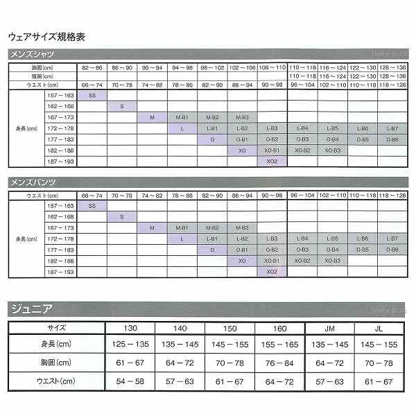 SSK エスエスケイ proedge プロエッジ ゲーム用 ニュー レギュラー 野球 ユニフォームパンツ ズボン UP017